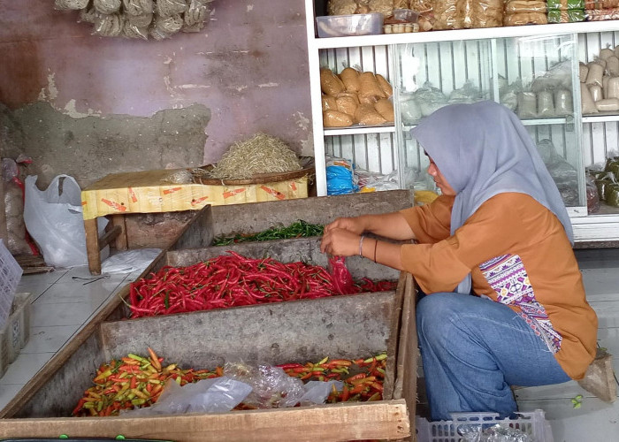 Harga Cabai Rawit Merah di Purbalingga Semakin Pedas