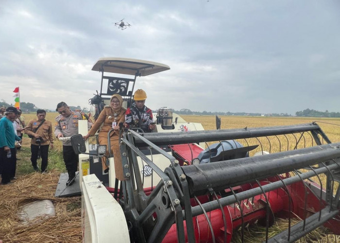 Produktivitas Meningkat, Pemkab Keumen Dorong Corporate Farming