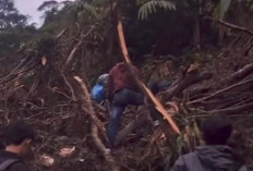 Longsor Tutup Satu-Satunya Jalan Sirau–Kramat Purbalingga, Akses Lumpuh Sejak Selasa Petang