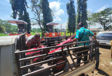 Purbalingga Kebanjiran Bantuan Alsintan Baru, Modernisasi Pertanian Digenjot