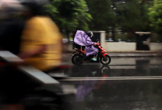 23 Kecamatan Banyumas Rawan Longsor, Banjir Bandang Mengancam 26 Wilayah