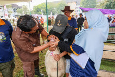 Upaya Pemprov Jateng Pastikan Kesehatan Hewan Kurban Iduladha 2026