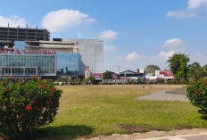 Rumput Alun-Alun Purwokerto Menguning, DLH Batasi Aktivitas Pengunjung