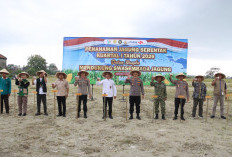 Dukung Program Ketahanan Pangan, Polres Tanam Jagung Serentak 