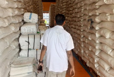 Stok Beras Tembus 10.522 Ton, Bulog Kebumen Gunakan Gudang Tambahan