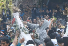 Meriah! Kirab Budaya Banjarnegara Usung 5 Gunungan Penuh Makna