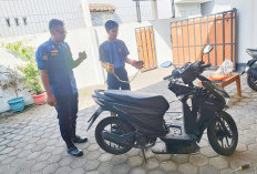Ular Jali Masuk ke Bodi Motor Warga Gumilir, Damkar Cilacap Turun Tangan