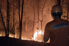 Kebun Jati 1,5 Hektare Terbakar di Wangon, Api Muncul Malam Hari, BPBD Banyumas Tangani Dua Lokasi