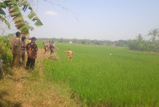 Karangpetir Jadi Lokasi TPST Tambak Banyumas, Empat Desa Terkendala Aturan Tata Ruang