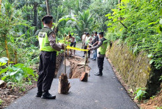 Masih Musim Hujan, BPBD Kebumen Imbau Warga Waspada Bencana