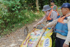 Tujuh Satwa Liar Dilepasliarkan di Kawasan Cagar Alam Nusakambangan Timur