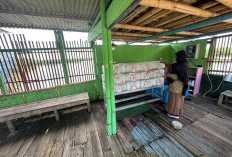 Prodi TRET Politeknik Negeri Cilacap Terapkan Energi Terbarukan Dalam Budidaya Kepiting di Cigimbal Park