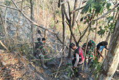 Empat Kebakaran Dalam Satu Hari, Warga Kebumen Diminta Waspada