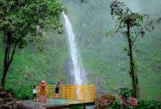 Curug Cipendok, Pesona Air Terjun Eksotis di Lereng Gunung Slamet