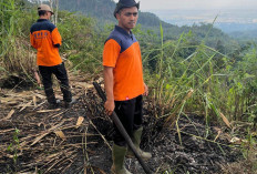 Karhutla Kembali Terjadi di Purbalingga, Dua Hektare Lahan Perhutani di Sangkanayu Terbakar