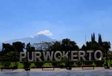 Suhu Kawah Gunung Slamet Melonjak, Pendakian Ditutup Mendadak Demi Keselamatan