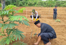 Ratusan Pohon Ditanam untuk Cegah Longsor di Kawasan Wisata Goci Dayeuhluhur