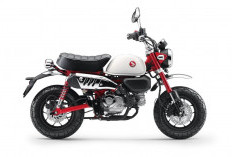 Gaya Retro, Fitur Kekinian: Review Singkat Honda Monkey 125