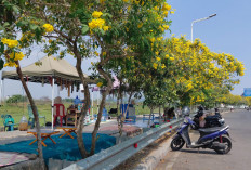 565 UMKM Bung Karno Ditata Serentak, Pemkab Banyumas Andalkan Dana CSR