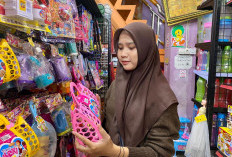 Mainan Anak Edukatif di Rinba Toys untuk Perempuan dan Laki-Laki