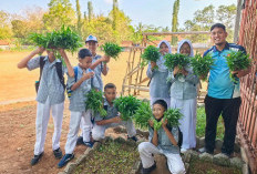 SMPN 3 Kroya Peduli Lingkungan, Tanam Sayuran di Galon Bekas