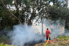 Bakar Sampah Tanpa Pengawasan Picu Kebakaran Lahan Sokaraja, Angin Kencang Percepat Api Meluas 