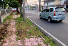 Trotoar di Pusat Kota Purbalingga Memprihatinkan, Warga Sebut Ada yang Tak Diperbaiki Selama 30 Tahun