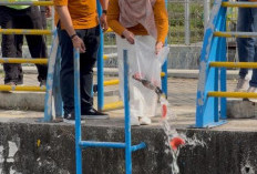 Wujudkan Keseimbangan Alam, UT Purwokerto Gelar PkM UT Greeneration di Klapagading Kulon