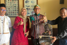 Sadar Termasuk Satwa Dilindungi, Warga Serahkan Burung Beo ke KSDA