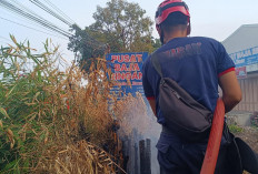 Diduga Dibakar ODGJ, Lahan di Jalan Raya Purbalingga-Bobotsari Terbakar hingga Ganggu Lalu Lintas