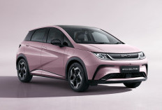 Spesifikasi BYD Dolphin Lengkap: Mobil Listrik Stylish dengan Fitur ADAS Canggih