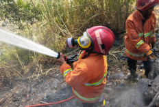 Dua Kebakaran Lahan Terjadi Beruntun di Purbalingga, Gara-gara Warga Bakar Sampah