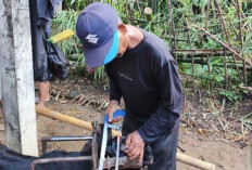 Jasa Salon Kambing di Pasar Hewan Karangpucung Cilacap Laris Manis 