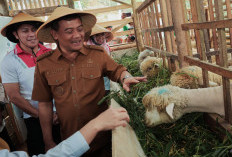 Lewat Program Revola, Pemprov Jateng Mampu Sulap Lahan Tidur Belasan Tahun Jadi Produktif