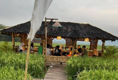 Rumah Makan Lumbung Pari, Perpaduan Rasa Tradisional dan Suasana Pedesaan yang Menenangkan