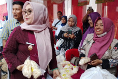 Wabup Banyumas Perkuat Literasi untuk Cegah Pinjol Ilegal, OJK Bangun Ekosistem Keuangan Inklusif di Desa