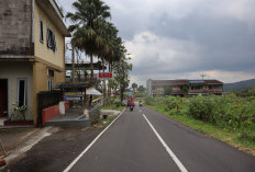 Okupansi Hotel di Banyumas Labil, Restoran Stabil