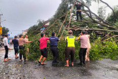 19 Desa di 7 Kecamatan Purbalingga Terdampak Hujan Deras dan Angin Kencang, Puluhan Rumah Rusak