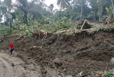 26 Kecamatan di Banyumas Rawan Longsor, BPBD Minta Warga Waspada