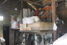 Beras Jenggawur Tak Pernah Sepi Peminat, Panen Belum Datang tapi Pesanan Sudah Mengular