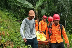 Operasi SAR Dibuka Kembali, Lansia Pekuncen Banyumas Ditemukan Meninggal di Hutan