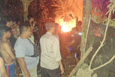 Bakar Sampah Dekat Kandang, Tiga Kambing di Bojongsari Hangus Terbakar
