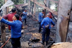 Kandang di Mrebet Purbalingga Terbakar, 9.300 Ayam Mati dan Kerugian Capai Rp750 Juta