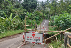 Akses Utama Desa Wisata Melung Banyumas Terancam Putus, Longsor Gerus Jalan Penghubung Baturraden