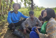 Hilang Empat Hari di Hutan Binangun, Warga Cilacap Ditemukan Selamat