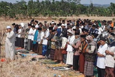 Enam Bulan Tanpa Hujan, Warga Madura Cilacap Gelar Salat Istisqa di Sawah Kering