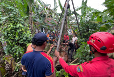Sapi Tercebur Sumur 4 Meter di Sokaraja, Damkar Banyumas Evakuasi Hampir Tiga Jam