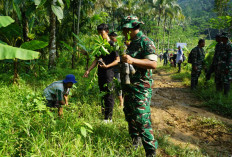 TMMD Reguler ke-128 Purbalingga Tanam 7.300 Bibit Pohon di Desa Krangean