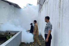 Kasus DBD di Cilacap Capai 24, Satu Warga Adipala Meninggal