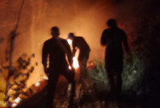Bakar Sampah Berujung Kebakaran di Pejagoan